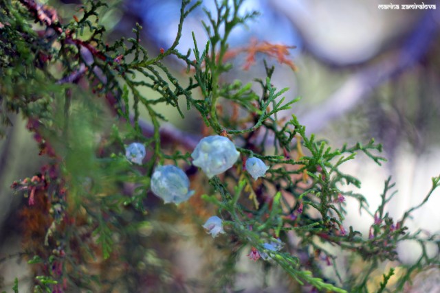 Крым: Судак и окрестности