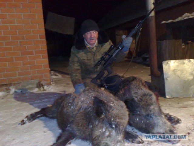 Охота на марала в Заилийском Алатау