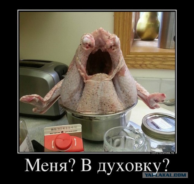 Уголок Падонка в Кулинарии