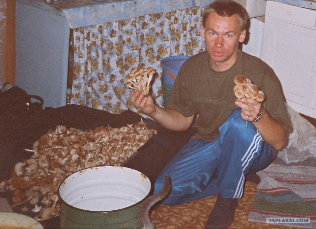 За грибами!