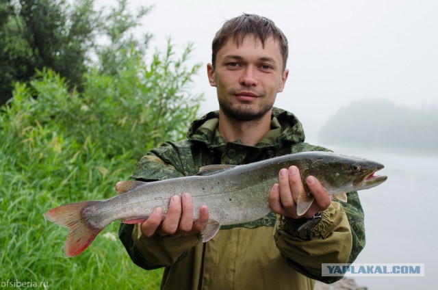 Десять дней без соц. сетей