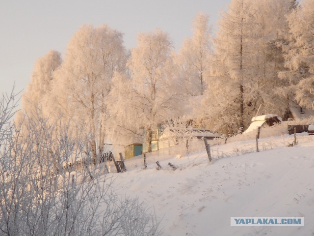 А как у Вас обстоят дела с погодой на Новый Год?