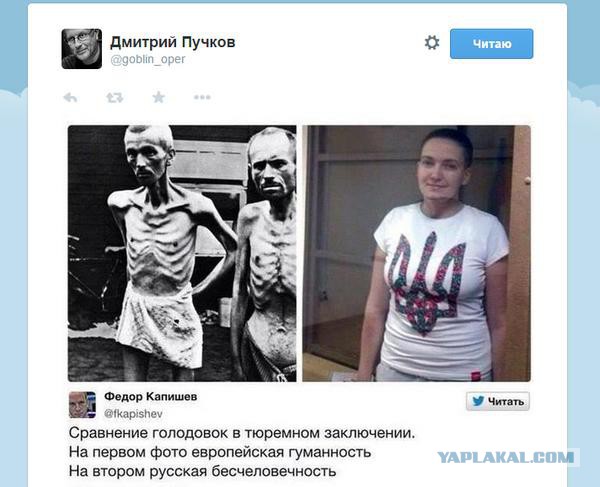 "Изголодавшаяся" Савченко