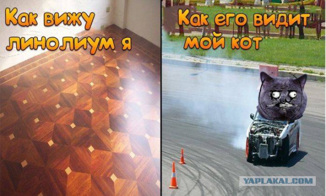 Пятничная подборка
