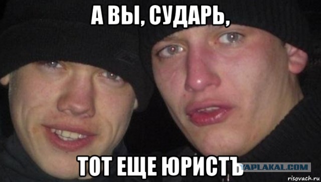Дружелюбные собаководы