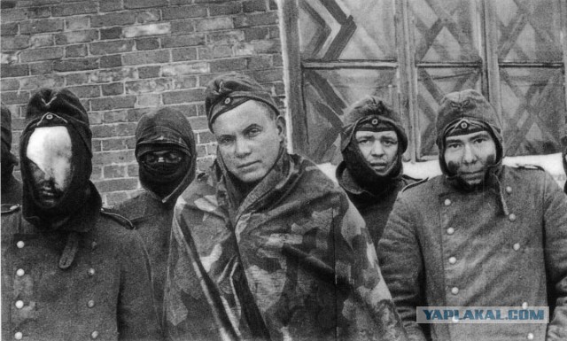 "Коричневая чума" в цвете.(продолжение)