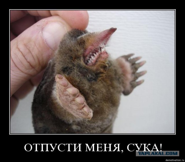 Жизнь боль!