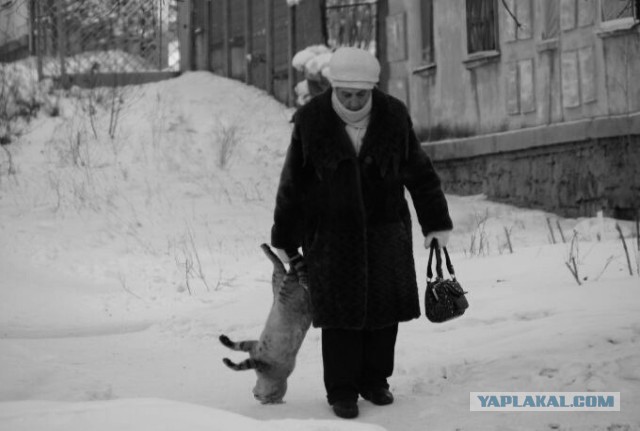 Прикольные картиночки