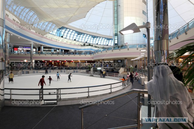 Последствия аномально теплой погоды в Москве