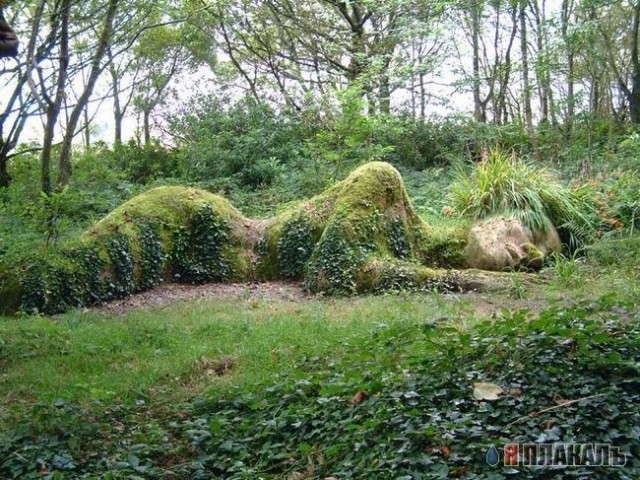 Эта сексуальная природа. РАСТЕНИЯ, ПЕЙЗАЖИ
