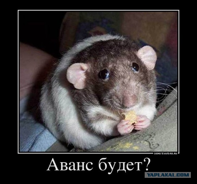 Московские зарплаты