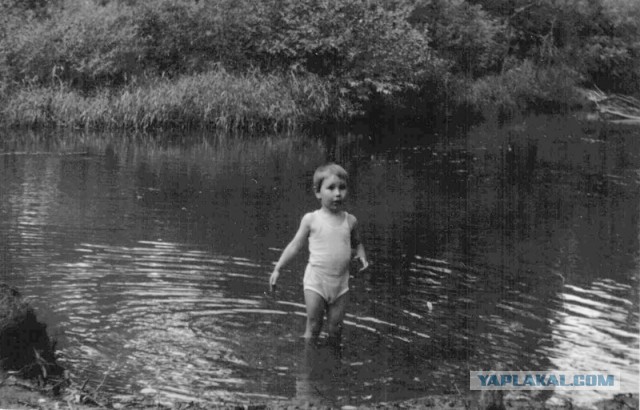 Вот оно какое наше лето!