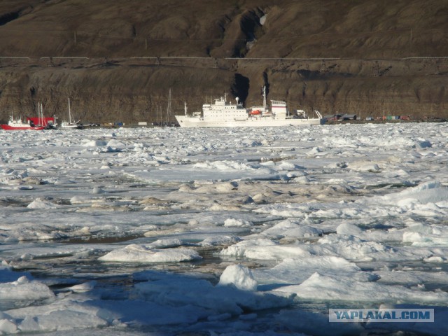Шпицберген наш. Объясняю почему