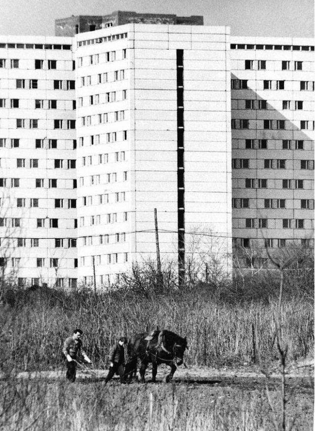 Ностальгия москвича