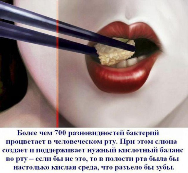 Неприятные факты, о которых вы не знали