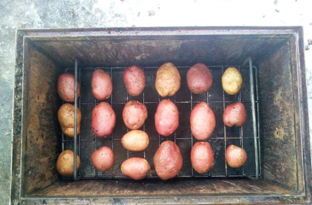 Куриная голень горячего копчения. С картошкой.