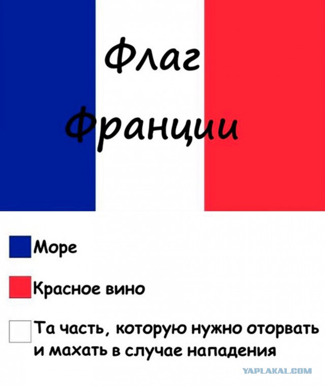 Картинки смешные из интернетов