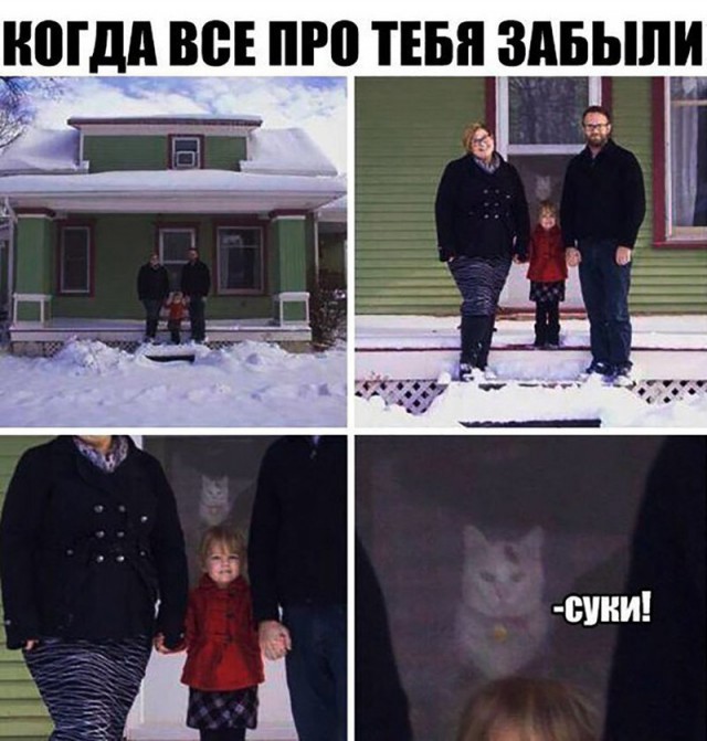 Прикольные картинки обо всем