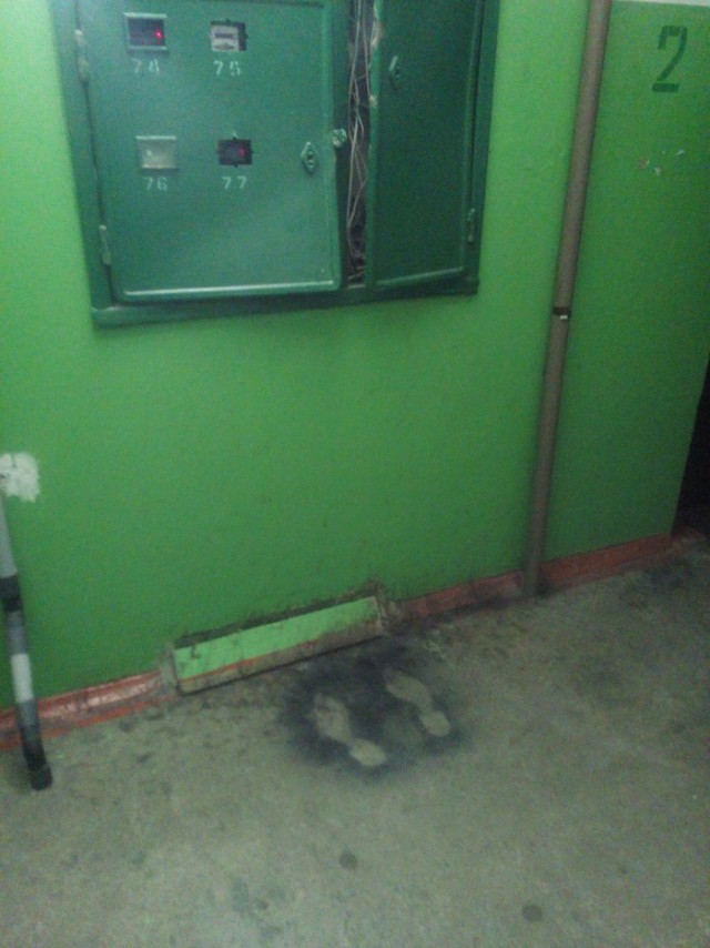 Картинки по-приколу