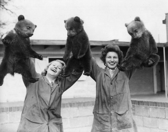История в фотографиях