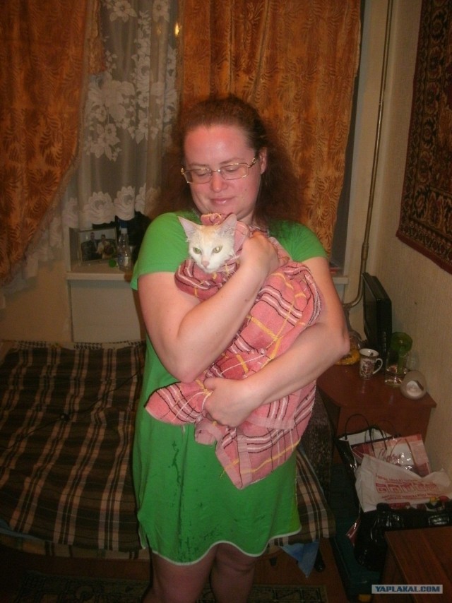 Котовторник на 26.06.12