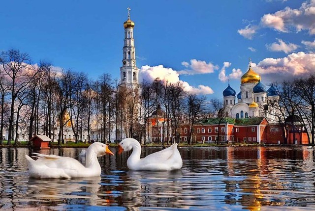 Милые животные. Мимиметр сломался