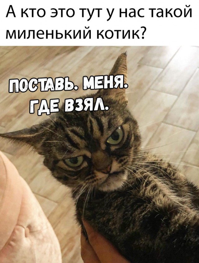 Нестандартный юмор