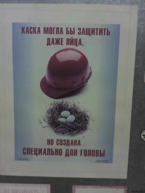 Каска и яйца