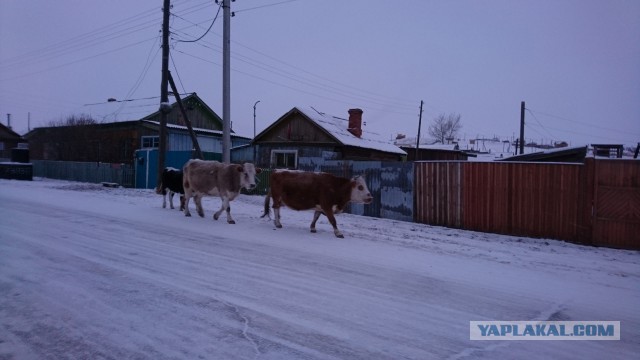 Из Перми на Байкал в новый год 2020. Отчёт о поездке