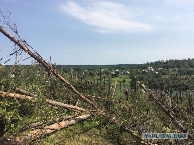Продолжение темы, как на Москву ураган двигался