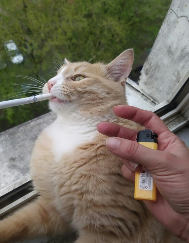 Смерть