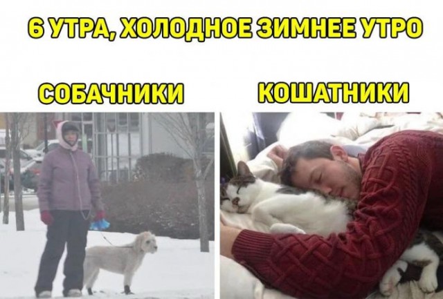 Бредзона 20.01.2021