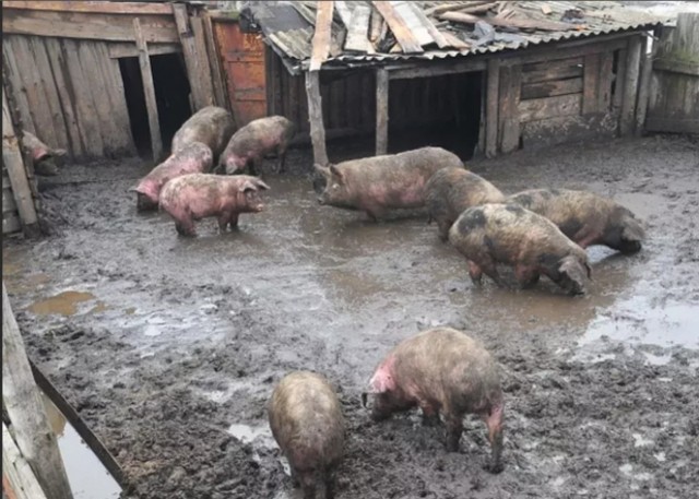 Где то в одной европейской стране...