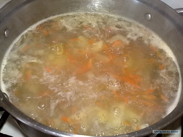 Куриный бульон для Чайников, Или «Кура-International»