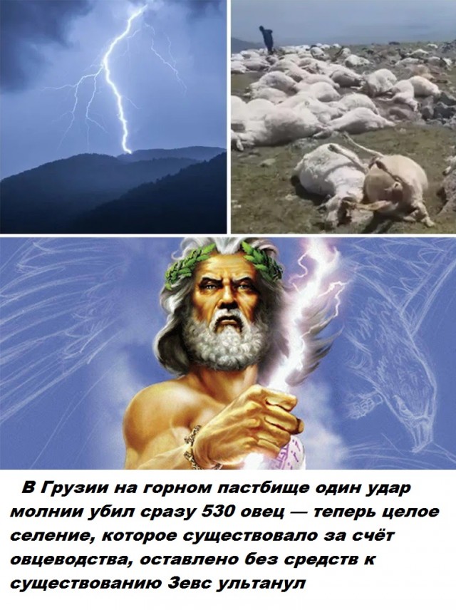 Весёлый полтишок 16.08