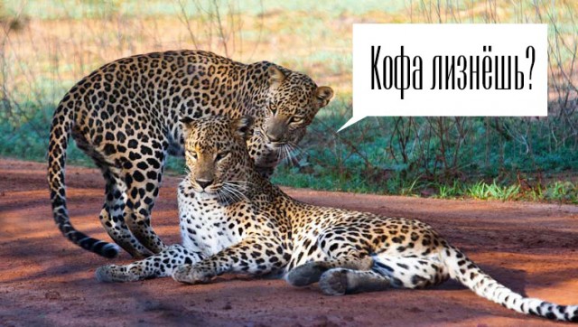 Картинки и мемы, всем прекрасных выходных