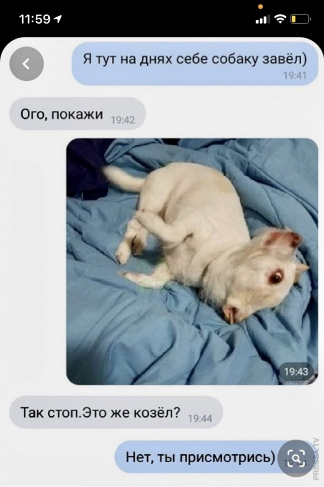 Человек собаке друг и другие картинки под настроение 13.01.2022