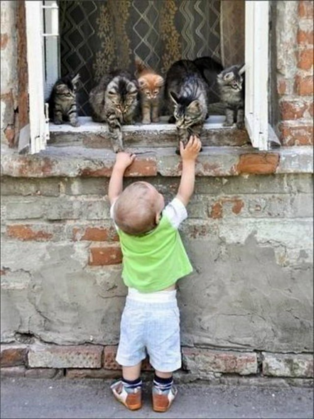Котовторниковское