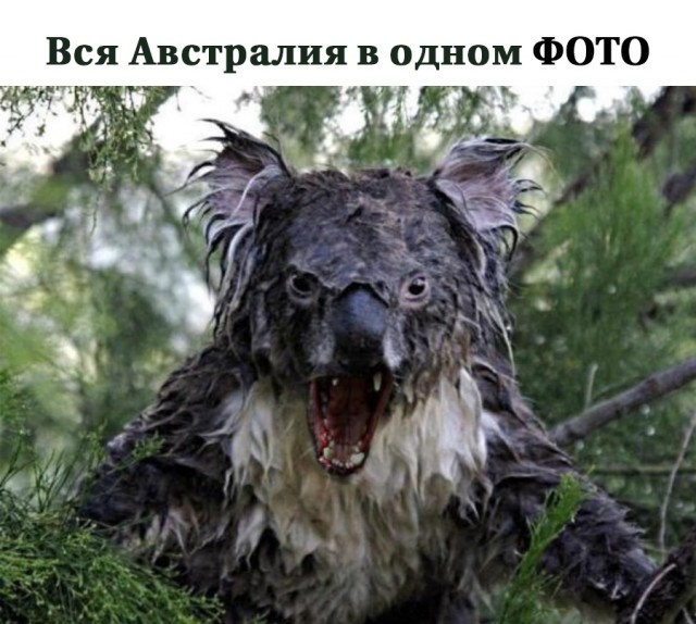 Немного картинок и прочей хреноты Vol. 15