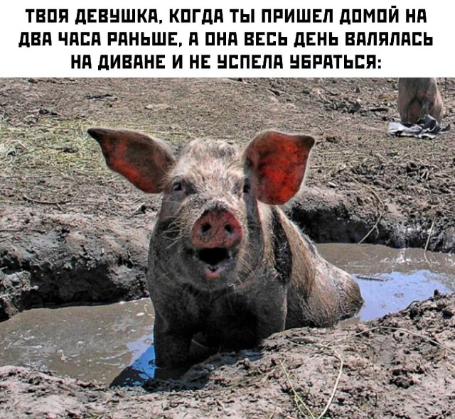 Немного мемчиков. Для взрослых. Часть 14