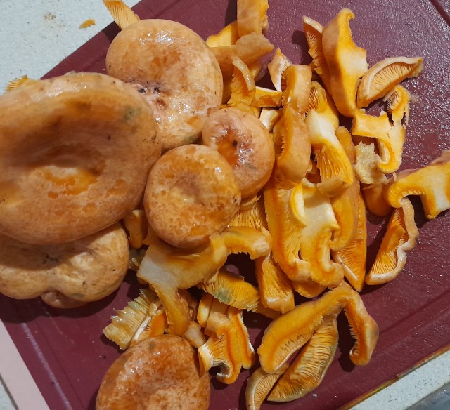 Рыжики с картофаном