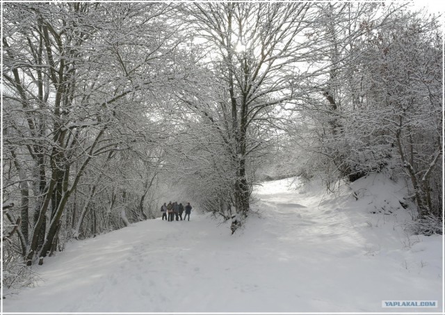 Крым. Терновка. Зимние дороги.