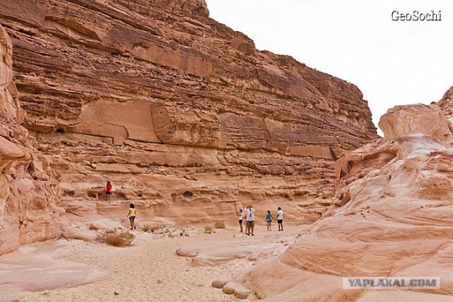 Синайские приключения. Шарм-эш-Шейх и окресности