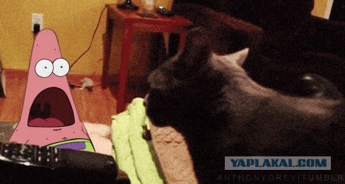 Лёгкой наркомании пост