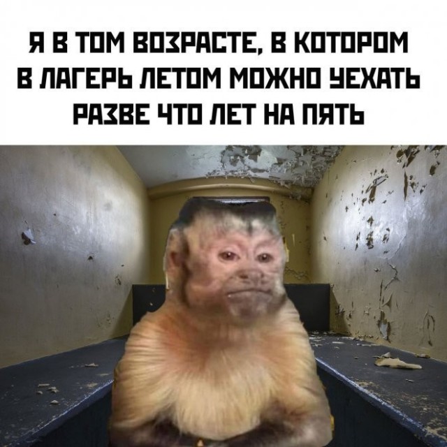 Скриншоты и комментарии из социальных сетей 12.05.23