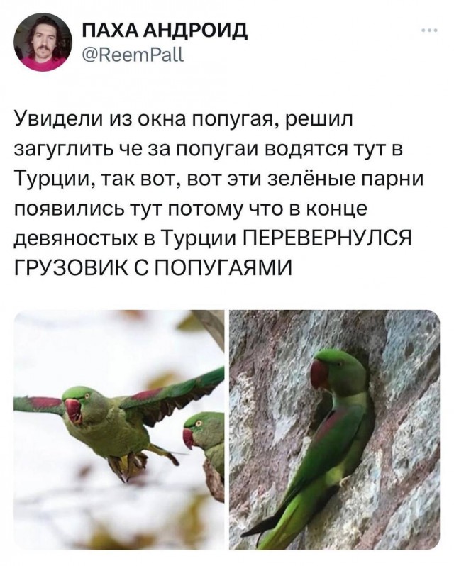 Забавные комментарии из социальных сетей (17.07.23)