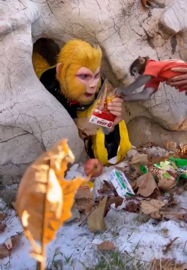 В Китае принимают работать обезьяной за зарплату в 846 долларов в месяц