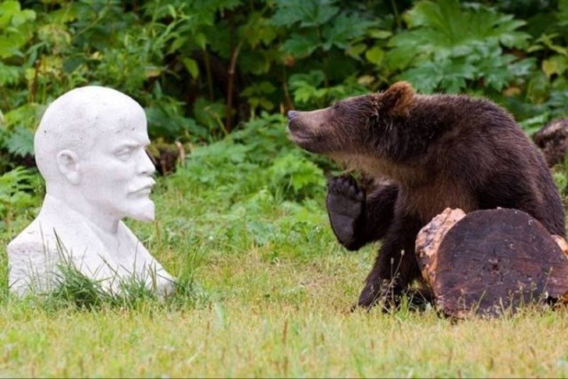 ФотоВинегрет