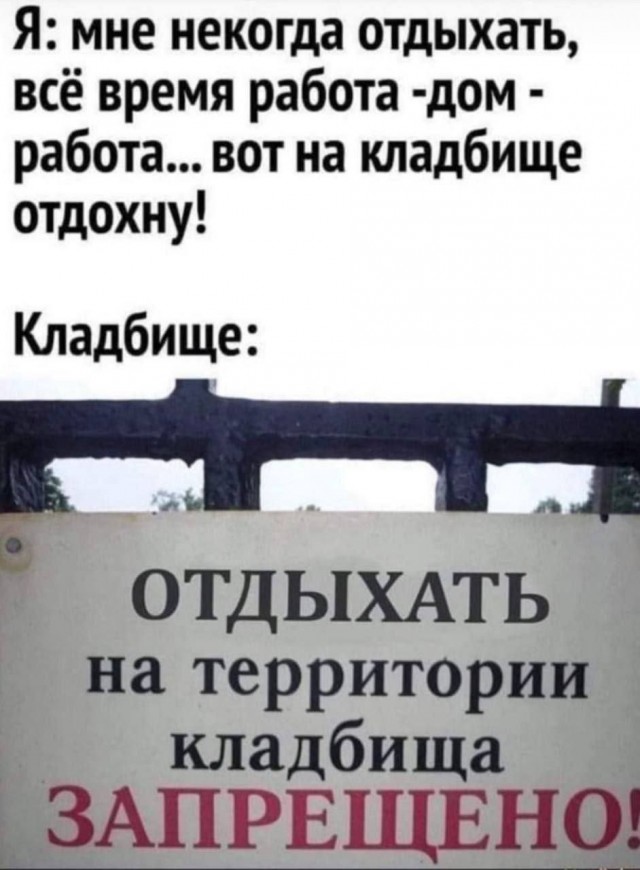 Так себе картинки 26.08.24