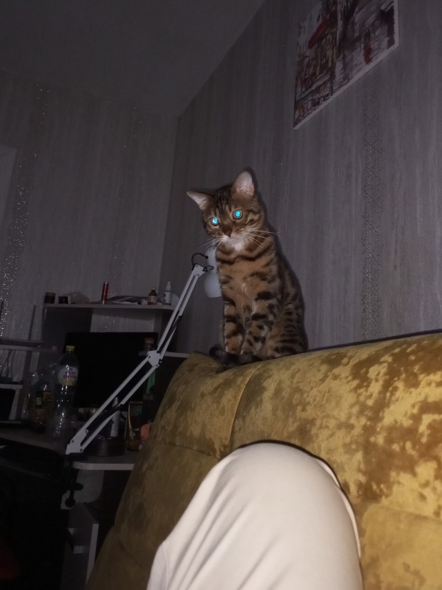 Первое, что я вижу, открывая утром глаза